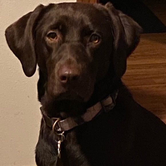 Meet your Posher, Tina - Picture 2 of 3